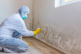 Best Environmental Consulting for Mold Prevention  in Wilder, VT